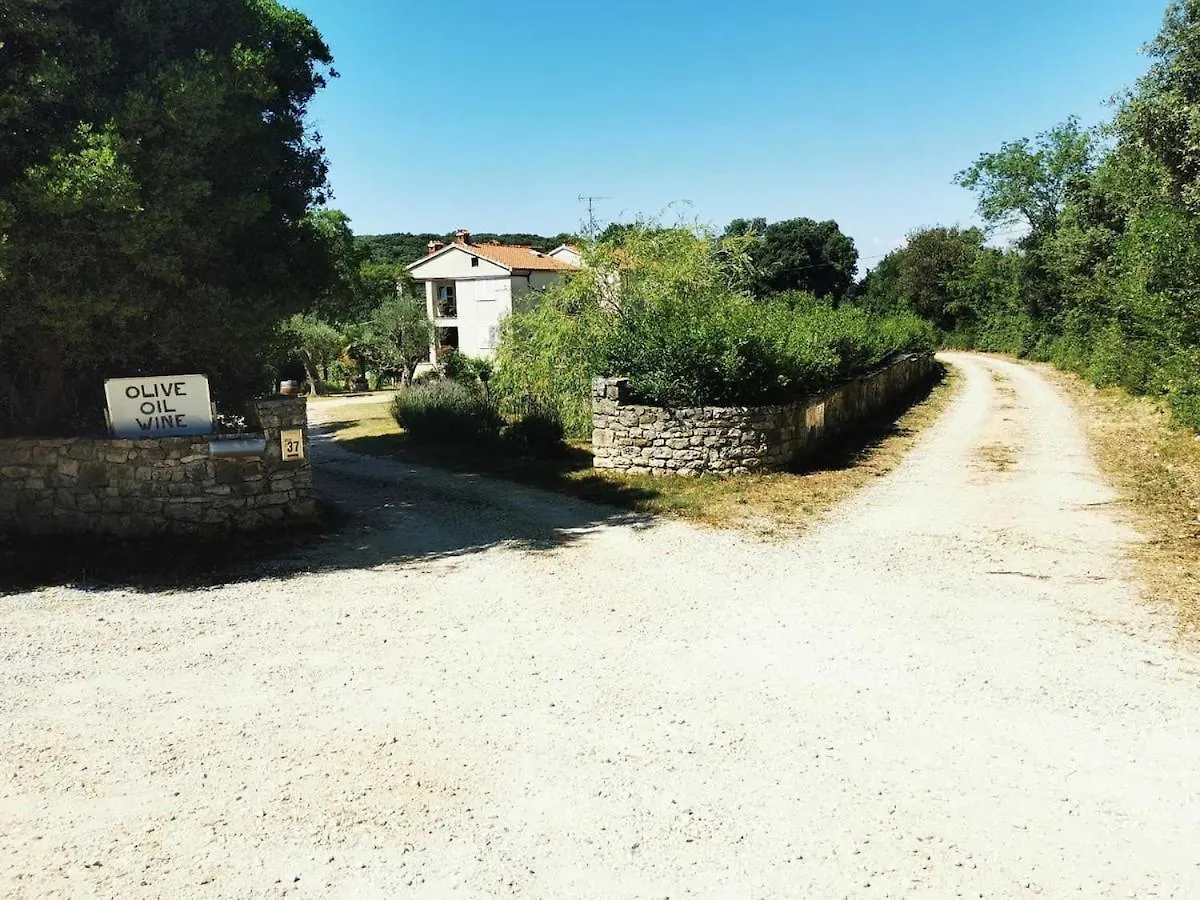 Apartment Irena 2, Free Parking, 10 Min From Sea Rovinj Croatia