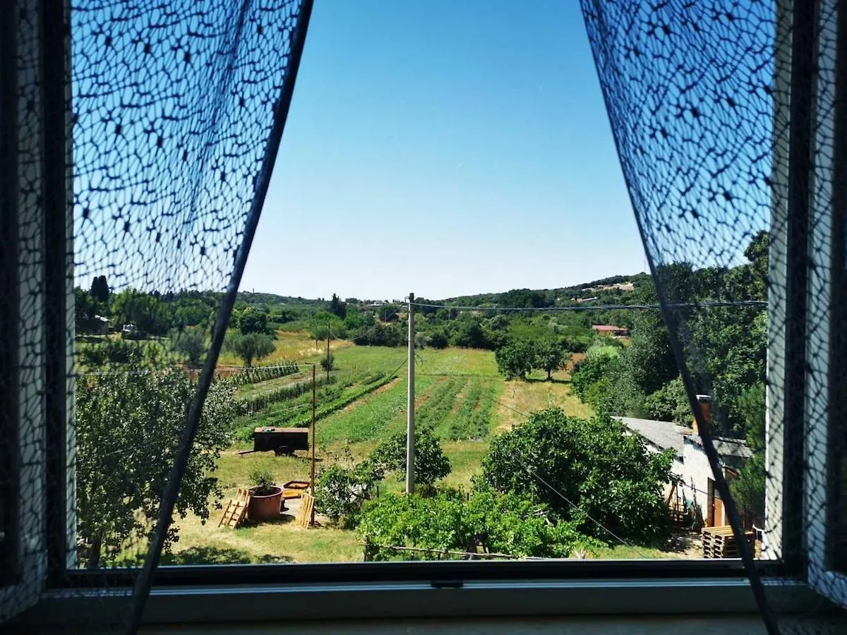 Apartment Irena 2, Free Parking, 10 Min From Sea Rovinj